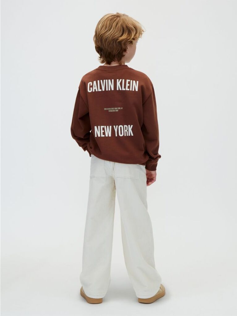Brown Back Graphic Sweatshirt  Boys