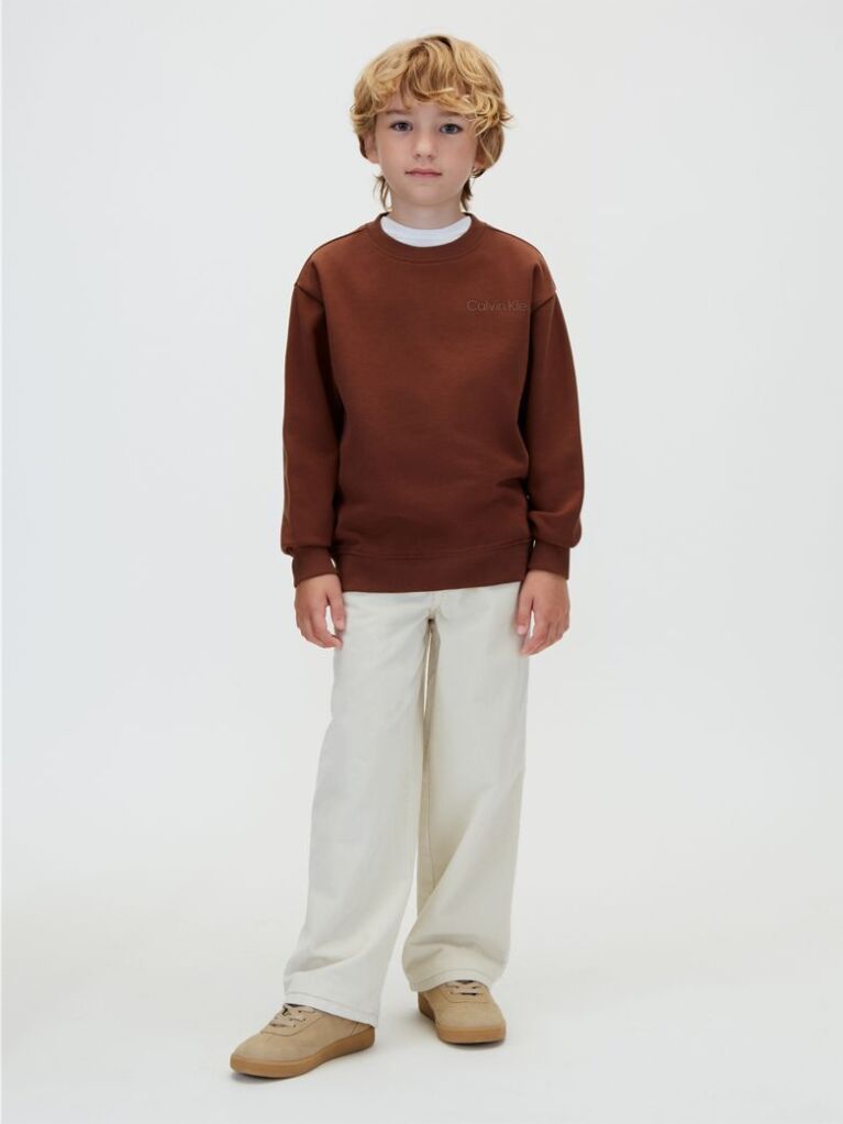 Brown Back Graphic Sweatshirt  Boys