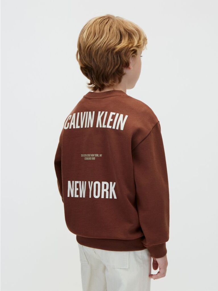 Brown Back Graphic Sweatshirt  Boys