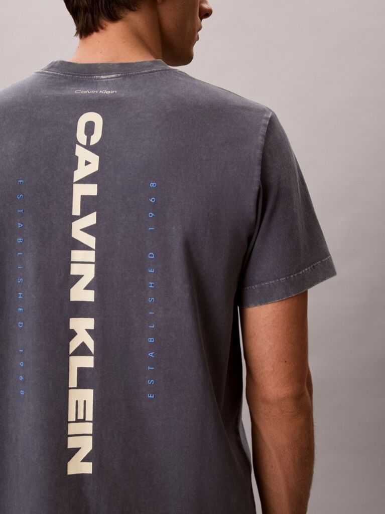 Μπλε T-Shirt Με Washed Φινίρισμα Και Γραφικό Λογότυπο  Άνδρας