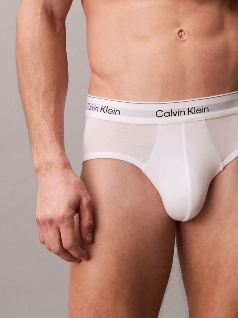 Multi 3 Pack Briefs - Icon Cotton Stretch  Men
