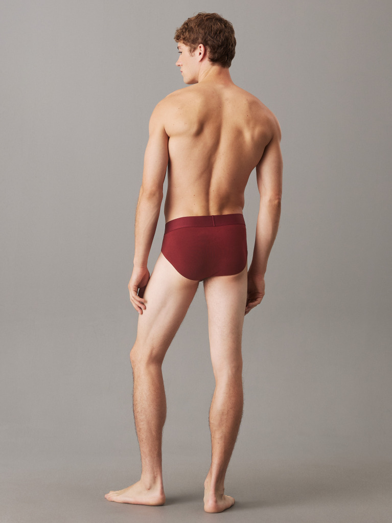 Red Briefs - CK Established  Men