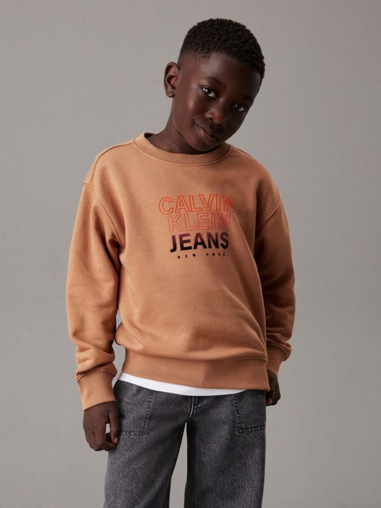 Orange Relaxed Logo Sweatshirt  Boys