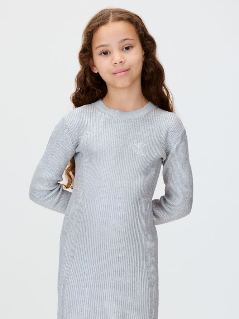 Silver Silver Coated Dress  Girls