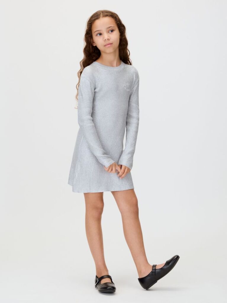 Silver Silver Coated Dress  Girls
