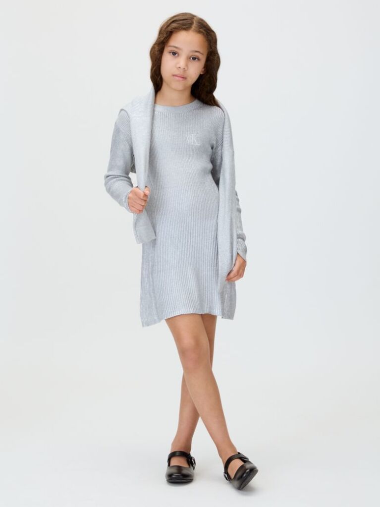 Silver Silver Coated Dress  Girls