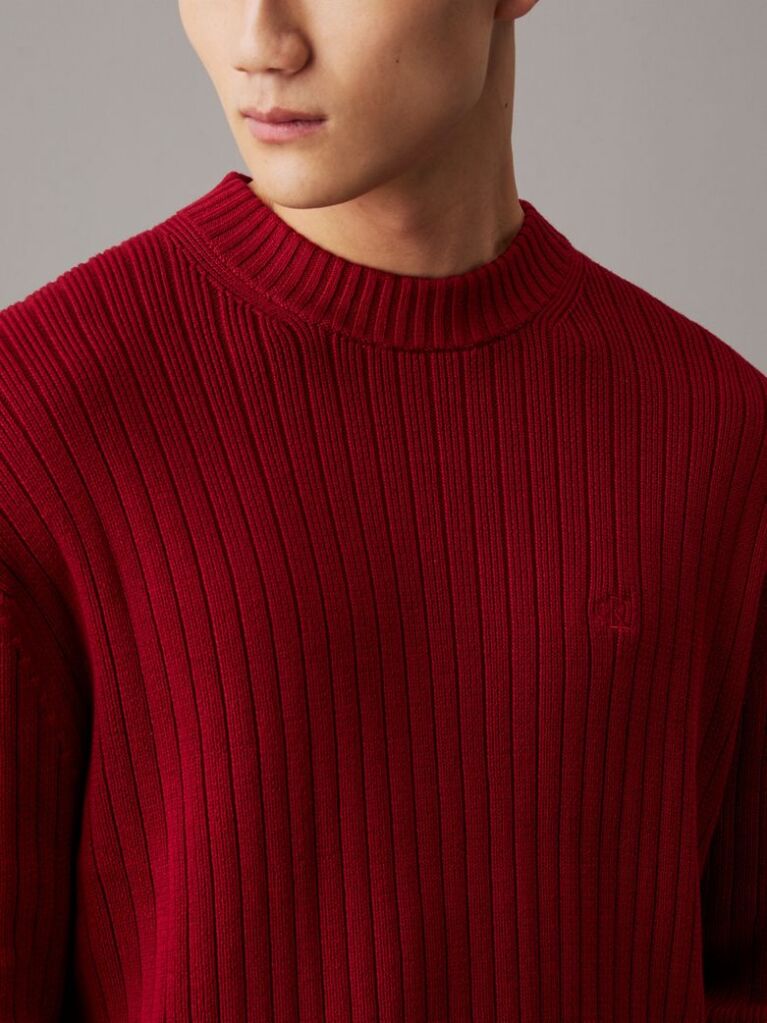 Red Relaxed Ribbed Cotton Jumper  Men