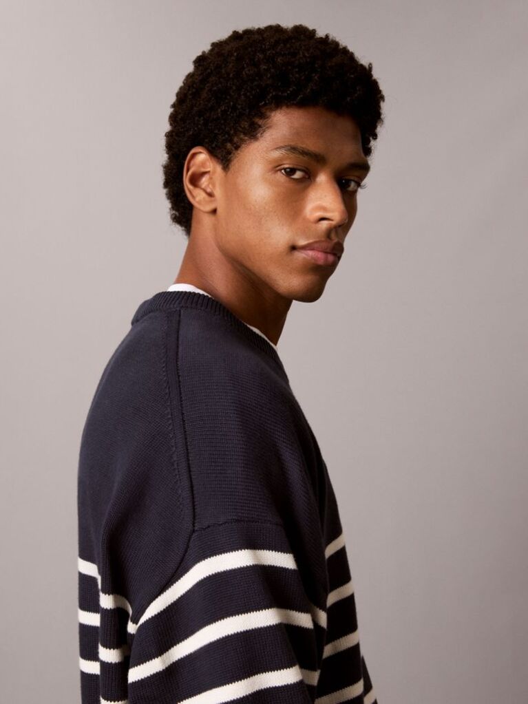 Blue Relaxed Cotton Stripe Jumper  Men